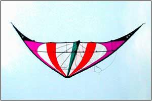 Kite Festival at Devereux Beach.