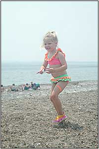 Kite Festival at Devereux Beach.