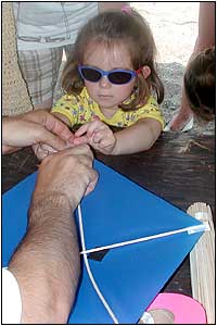 Kite Festival at Devereux Beach.