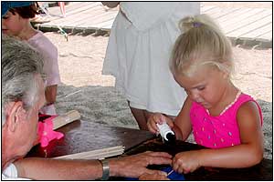 Kite Festival at Devereux Beach.
