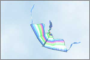Kite Festival at Devereux Beach.