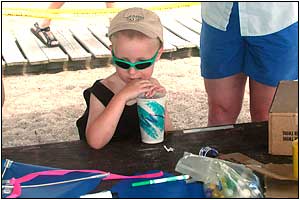 Kite Festival at Devereux Beach.