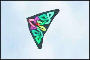 Kite Festival at Devereux Beach.