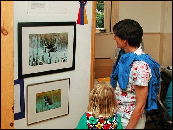 Viewing photographs in Old Town Hall, Marblehead.