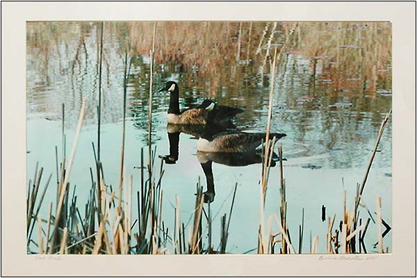 "Ware Pond" by Barbara Rosenstein.