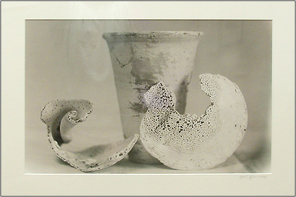"Shells with Dutch Flowerpot" by Gail Giarrusso. Toned B&W, Silver Print. 
