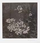 04.07.04_160_JK_adj_cr