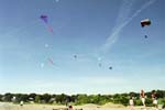 04.07.04_009_ME31