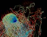 060704_HG_img_3594