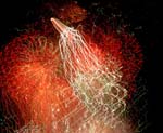 060704_HG_img_3604